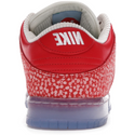 Nike Dunk SB Low (Stingwater Magic Mushroom)