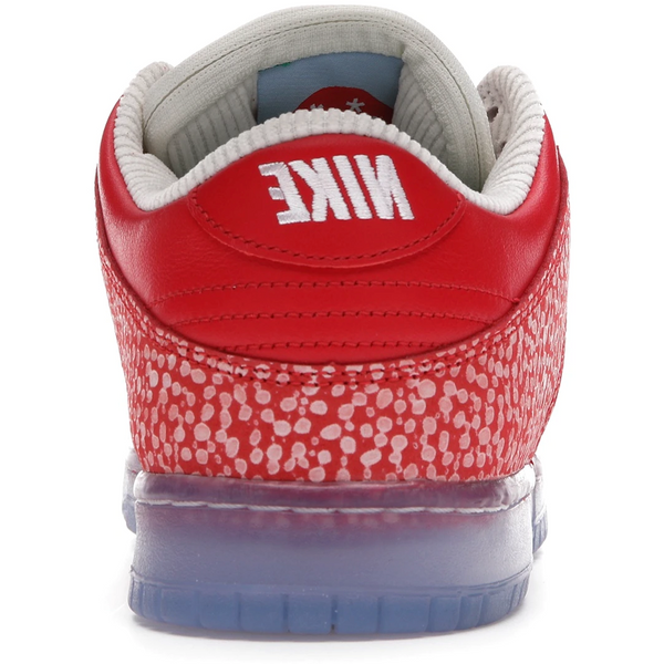 Nike Dunk SB Low (Stingwater Magic Mushroom)