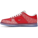 Nike Dunk SB Low (Stingwater Magic Mushroom)