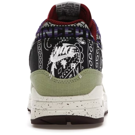 Nike Air Max 1 SP Concepts (Mellow)