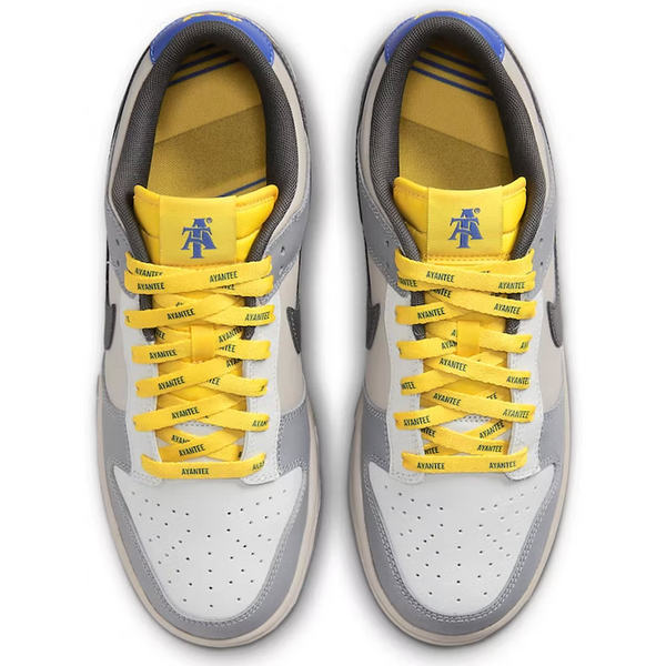Nike Dunk Low (North Carolina A&T)
